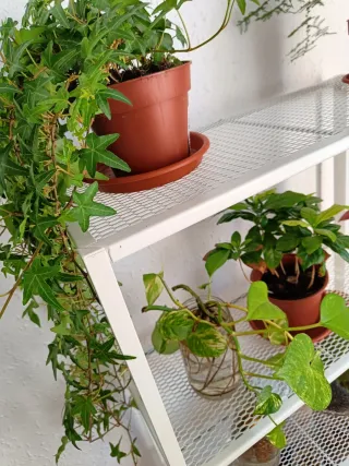 Estantería Baggebo Ikea Blanca