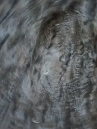 Chaquetón de astracán negro talla 42/44