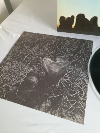 Vinilo Eagles One of These Nights 1975