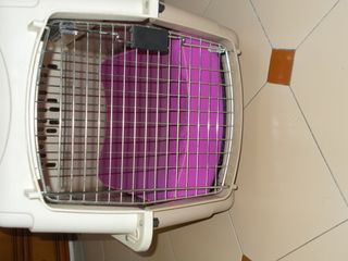 Transportín para perro blanco y morado