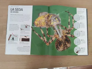 Secretos de la naturaleza (Secretos)