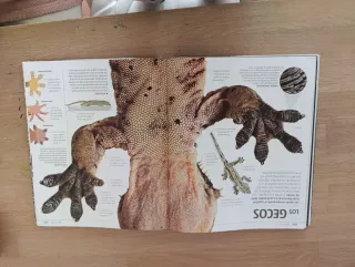 Secretos de la naturaleza (Secretos)