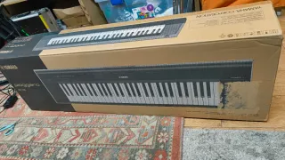Yamaha Piaggero NP-15