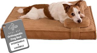 Materassino Cuccia Ortopedico per Cani con Cuscino
