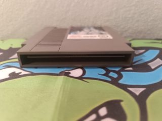 Disney Adventures In The Magic Kingdom NES + funda