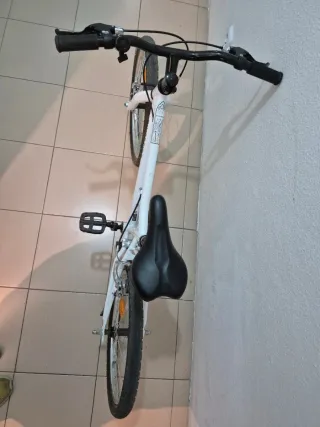 Bicicleta 20 pollici, poco uso, marca Riverside