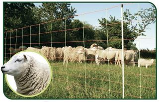 Valla Pastor Eléctrico para Ovejas