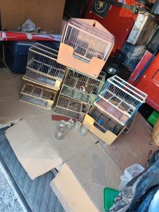 Jaulas para pájaros