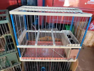 Jaulas para pájaros
