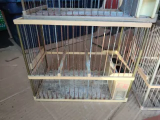 Jaulas para pájaros