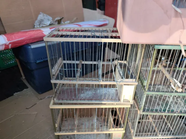 Jaulas para pájaros