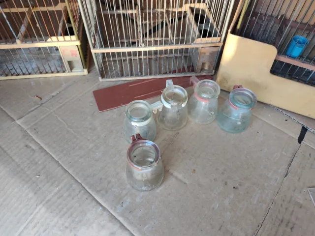 Jaulas para pájaros