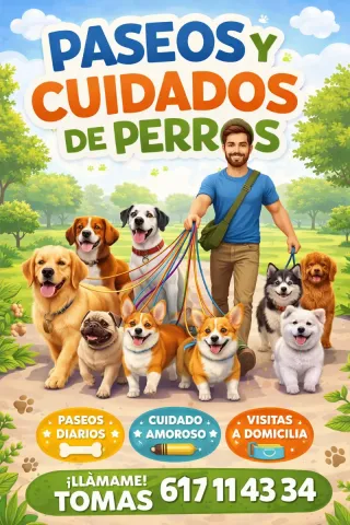 Cuidador de perros
