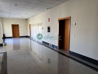 Oficina en alquiler en Sector Plaza de Toros en Segovia
