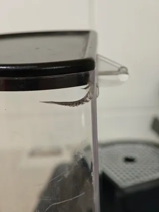 Macchina Caffè Nespresso Krups XN740B