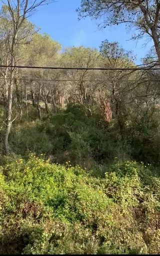 Solar en venta en Mas Trader-Corral D’En Tort-Corral D’En Cona en Cubelles