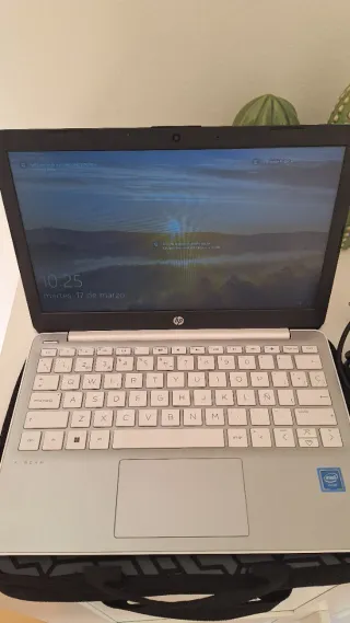 Portatile HP Stream 11