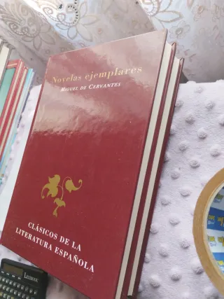 Novelas ejemplares: La española inglesa ; Rinco...