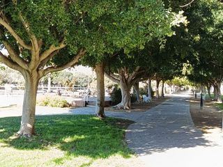 Piso en alquiler en Parque Mediterráneo - Santa Paula en Málaga
