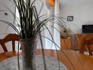 Piso en venta en Playa de los Locos en Torrevieja