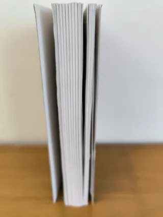 Rim - Una Novela de La Realidad Virtual (Spanis...