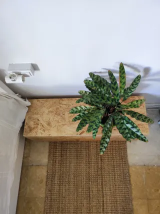 Peana/Mueble de Madera y Yute