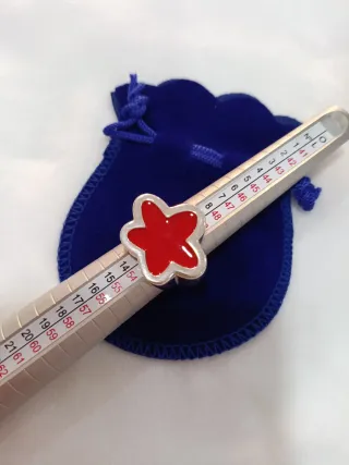 Anillo Plata Diseño Colección Lacado Rojo