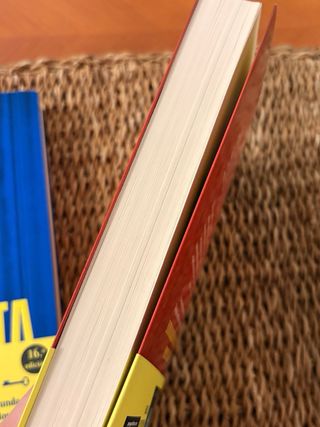 Libros la asistenta, el secreto de la asistenta...