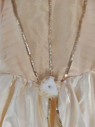 Disfraz Princesa Bella Disney