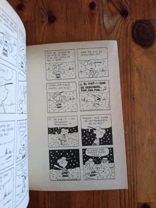 Fer L'ullet és Arriscat, Charlie Brown!