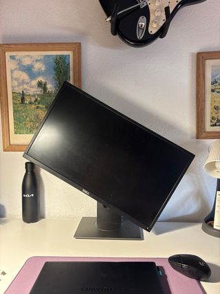 Monitor Dell Profesional Full HD