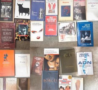 Gran lote de libros de literatura y ensayo
