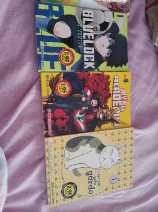 Lote de mangas (se puede separar)