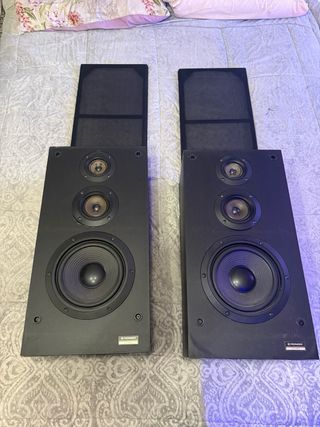 Altavoces Pioneer Negros