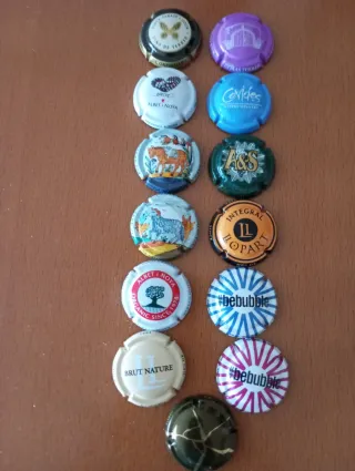 Chapas colección cava 13