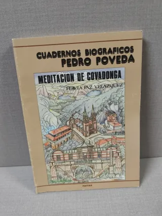 Lote de libros Cuadernos Biograficos Pedro Poveda