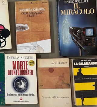 Sino 23 titoli diversi come da immagini pubblicate