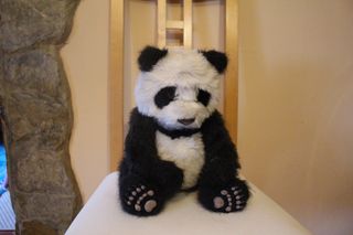 Pack Peluches Panda y Perro