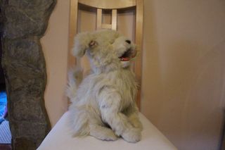 Pack Peluches Panda y Perro