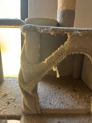 REGALO Rascador para gatos con varios niveles