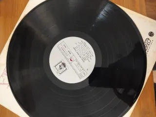 Fiesta Con India Flores LP Vinilo