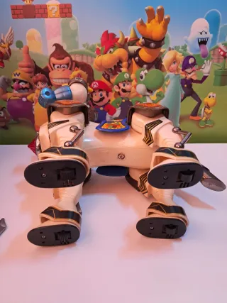 Robot Giocattolo Vintage Zoser il Principe dello S