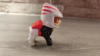 Wildcat y su Moto Paw Patrol