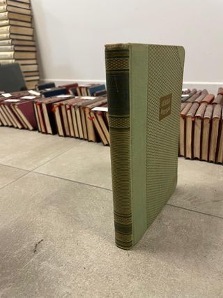 Júbilo Matinal - Knut Hamsun