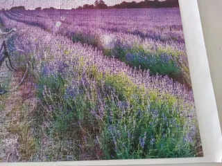 Puzzle Educa 1000 Piezas Campo Lavanda