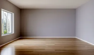 Hola, soy pintor profesional. Busco trabajo