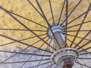 Ruedas Bicicleta Monty