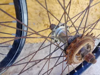 Ruedas Bicicleta Monty