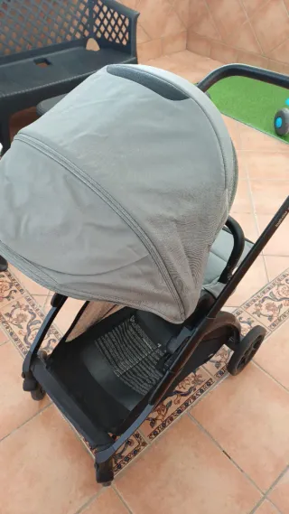 Carro Inglesina Electa 2024