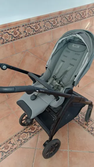 Carro Inglesina Electa 2024